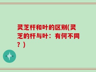 灵芝杆和叶的区别(灵芝的杆与叶：有何不同？)
