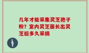 几年才能采集灵芝孢子粉？室内灵芝菌长出灵芝后多久采摘