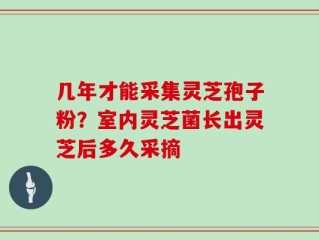 几年才能采集灵芝孢子粉？室内灵芝菌长出灵芝后多久采摘