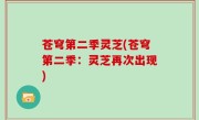 苍穹第二季灵芝(苍穹第二季：灵芝再次出现)
