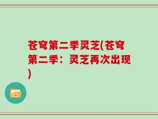 苍穹第二季灵芝(苍穹第二季：灵芝再次出现)