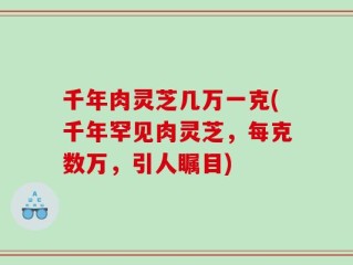 千年肉灵芝几万一克(千年罕见肉灵芝，每克数万，引人瞩目)