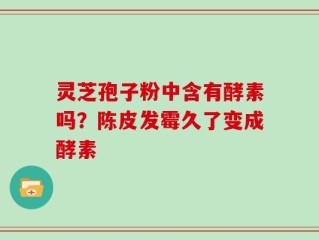 灵芝孢子粉中含有酵素吗？陈皮发霉久了变成酵素