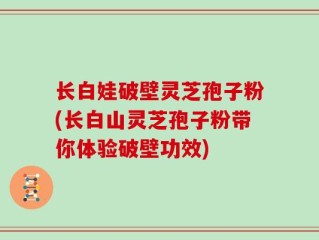 长白娃破壁灵芝孢子粉(长白山灵芝孢子粉带你体验破壁功效)