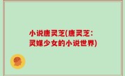 小说唐灵芝(唐灵芝：灵媒少女的小说世界)
