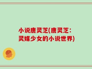 小说唐灵芝(唐灵芝：灵媒少女的小说世界)