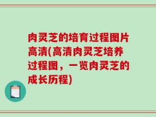 肉灵芝的培育过程图片高清(高清肉灵芝培养过程图，一览肉灵芝的成长历程)