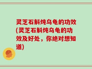 灵芝石斛炖乌龟的功效(灵芝石斛炖乌龟的功效及好处，你绝对想知道)