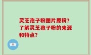 灵芝孢子粉图片原粉？了解灵芝孢子粉的来源和特点？