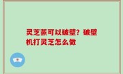 灵芝蒸可以破壁？破壁机打灵芝怎么做