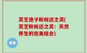 灵芝孢子粉和迈之灵(灵芝粉和迈之灵：天然养生的完美组合)