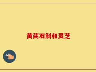 黄芪石斛和灵芝