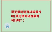 灵芝煲鸡汤可以放姜片吗(灵芝煲鸡汤加姜片可行吗？)