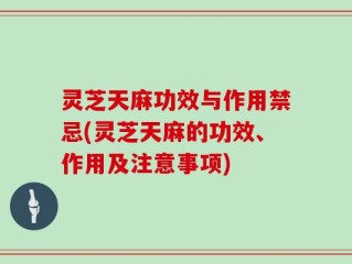 灵芝天麻功效与作用禁忌(灵芝天麻的功效、作用及注意事项)