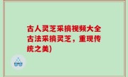 古人灵芝采摘视频大全古法采摘灵芝，重现传统之美)