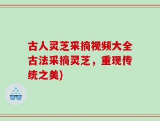 古人灵芝采摘视频大全古法采摘灵芝，重现传统之美)