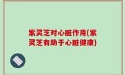 紫灵芝对心脏作用(紫灵芝有助于心脏健康)