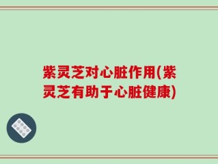 紫灵芝对心脏作用(紫灵芝有助于心脏健康)