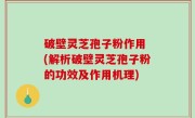 破壁灵芝孢子粉作用 (解析破壁灵芝孢子粉的功效及作用机理)
