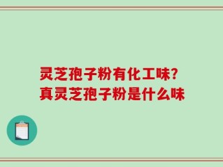灵芝孢子粉有化工味？真灵芝孢子粉是什么味