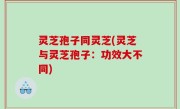 灵芝孢子同灵芝(灵芝与灵芝孢子：功效大不同)