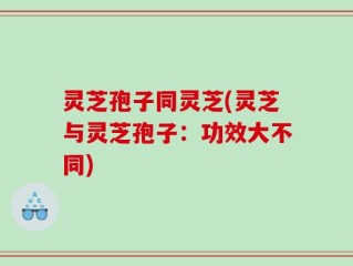 灵芝孢子同灵芝(灵芝与灵芝孢子：功效大不同)
