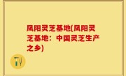 凤阳灵芝基地(凤阳灵芝基地：中国灵芝生产之乡)