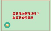 灵芝用水煮可以吗 ？血灵芝如何煲汤