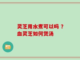 灵芝用水煮可以吗 ？血灵芝如何煲汤