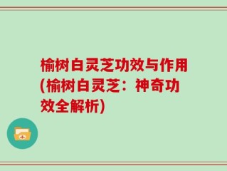 榆树白灵芝功效与作用(榆树白灵芝：神奇功效全解析)