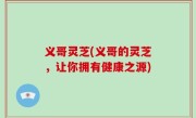 义哥灵芝(义哥的灵芝，让你拥有健康之源)
