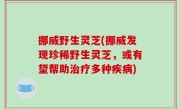 挪威野生灵芝(挪威发现珍稀野生灵芝，或有望帮助治疗多种疾病)