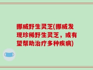 挪威野生灵芝(挪威发现珍稀野生灵芝，或有望帮助治疗多种疾病)