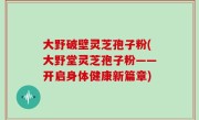 大野破壁灵芝孢子粉(大野堂灵芝孢子粉——开启身体健康新篇章)