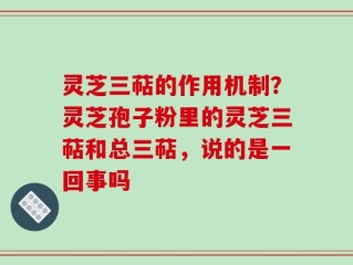 灵芝三萜的作用机制？灵芝孢子粉里的灵芝三萜和总三萜，说的是一回事吗