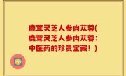 鹿茸灵芝人参肉苁蓉(鹿茸灵芝人参肉苁蓉：中医药的珍贵宝藏！)