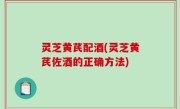 灵芝黄芪配酒(灵芝黄芪佐酒的正确方法)