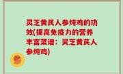 灵芝黄芪人参炖鸡的功效(提高免疫力的营养丰富菜谱：灵芝黄芪人参炖鸡)