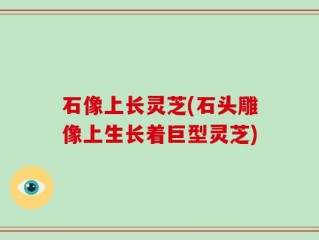 石像上长灵芝(石头雕像上生长着巨型灵芝)