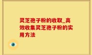 灵芝孢子粉的收取_高效收集灵芝孢子粉的实用方法