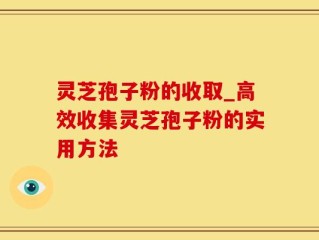 灵芝孢子粉的收取_高效收集灵芝孢子粉的实用方法