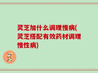 灵芝加什么调理慢病(灵芝搭配有效药材调理慢性病)