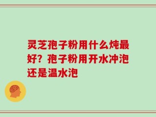 灵芝孢子粉用什么炖最好？孢子粉用开水冲泡还是温水泡