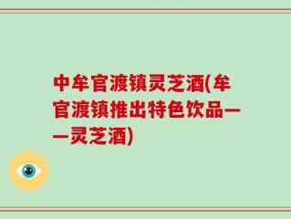 中牟官渡镇灵芝酒(牟官渡镇推出特色饮品——灵芝酒)