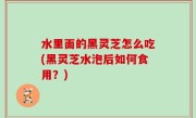 水里面的黑灵芝怎么吃(黑灵芝水泡后如何食用？)