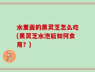 水里面的黑灵芝怎么吃(黑灵芝水泡后如何食用？)