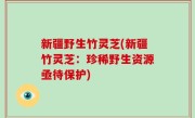 新疆野生竹灵芝(新疆竹灵芝：珍稀野生资源亟待保护)