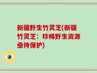 新疆野生竹灵芝(新疆竹灵芝：珍稀野生资源亟待保护)