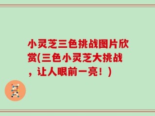 小灵芝三色挑战图片欣赏(三色小灵芝大挑战，让人眼前一亮！)