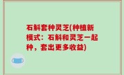 石斛套种灵芝(种植新模式：石斛和灵芝一起种，套出更多收益)